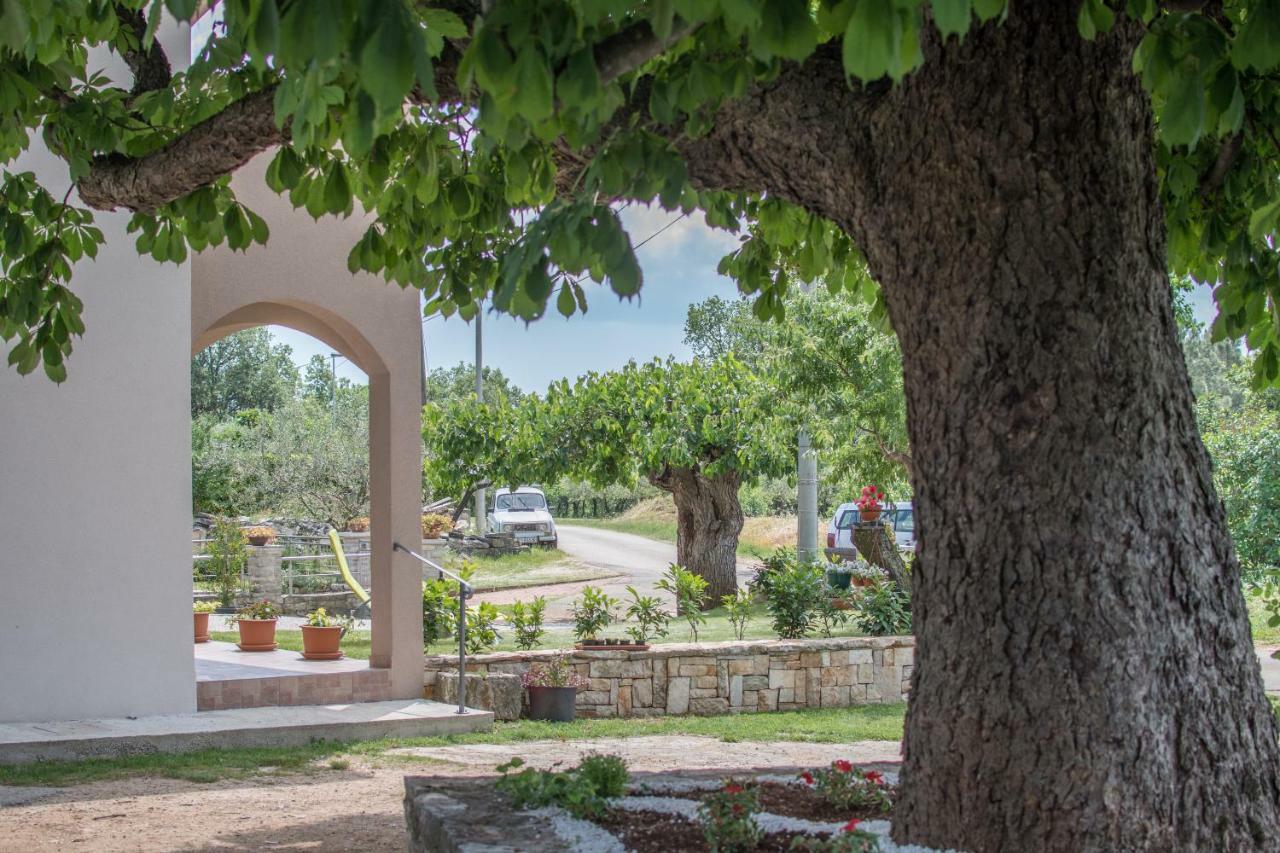 Apartman Stari Kesten